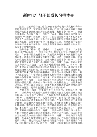 新时代年轻干部成长习得体会