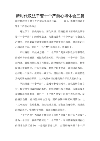 新时代政法干警十个严禁心得体会三篇