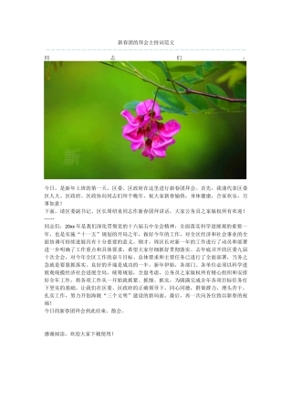 新春团的拜会主持词范文