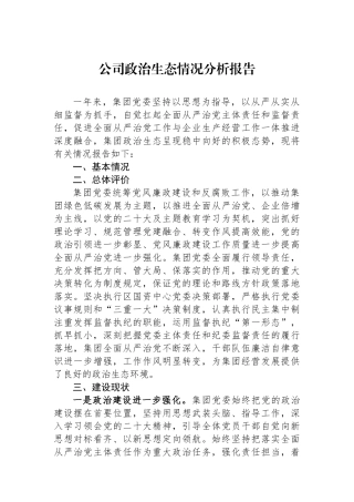公司政治生态情况分析报告