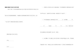新版正规实习生实习合同5篇