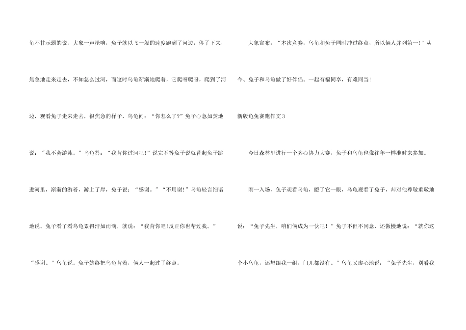 新版龟兔赛跑_第3页