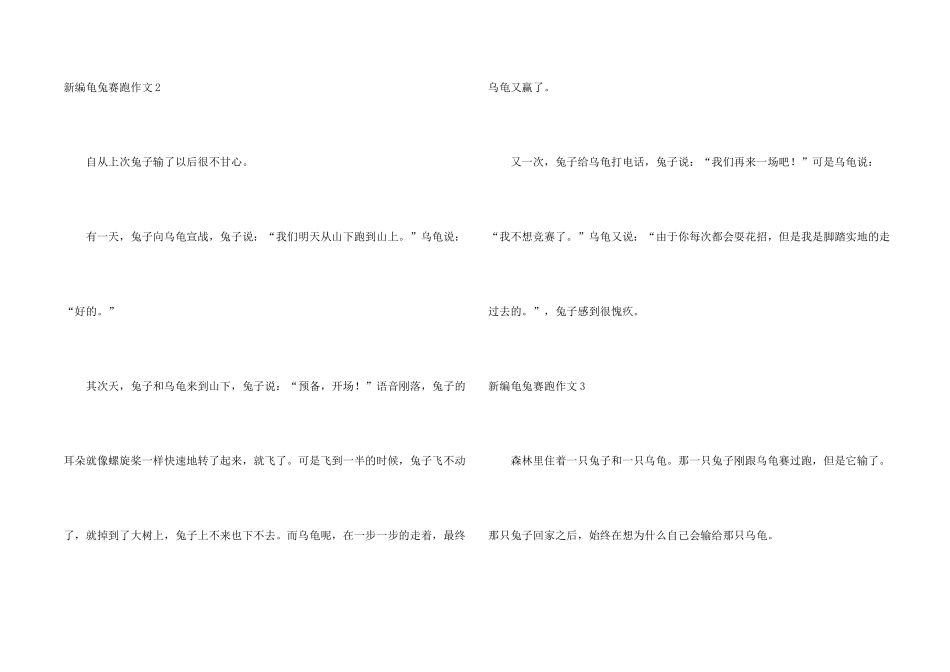 新编龟兔赛跑13篇_第2页