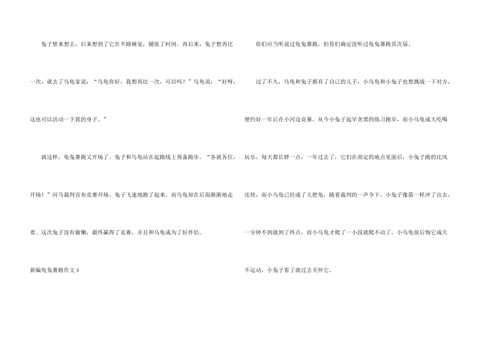 新编龟兔赛跑13篇_第3页