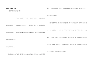 新编龟兔赛跑13篇