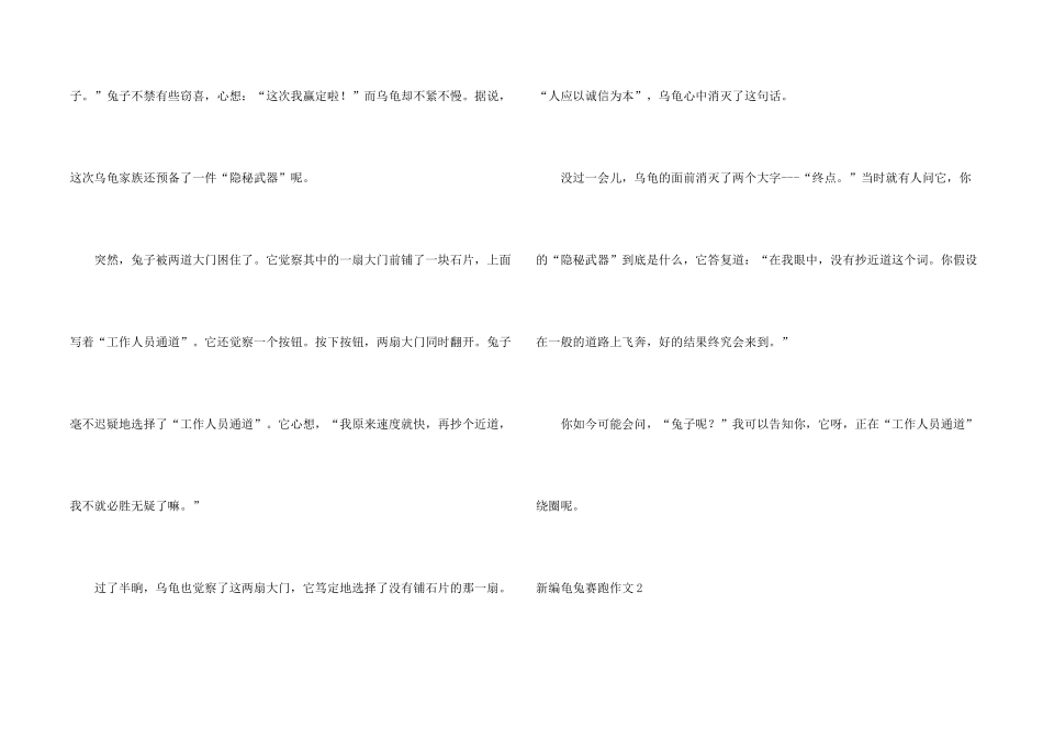 新编龟兔赛跑_第2页