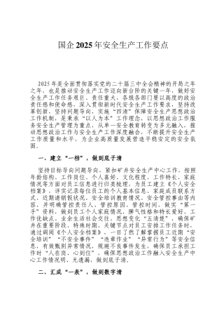 国企2025年安全生产工作要点