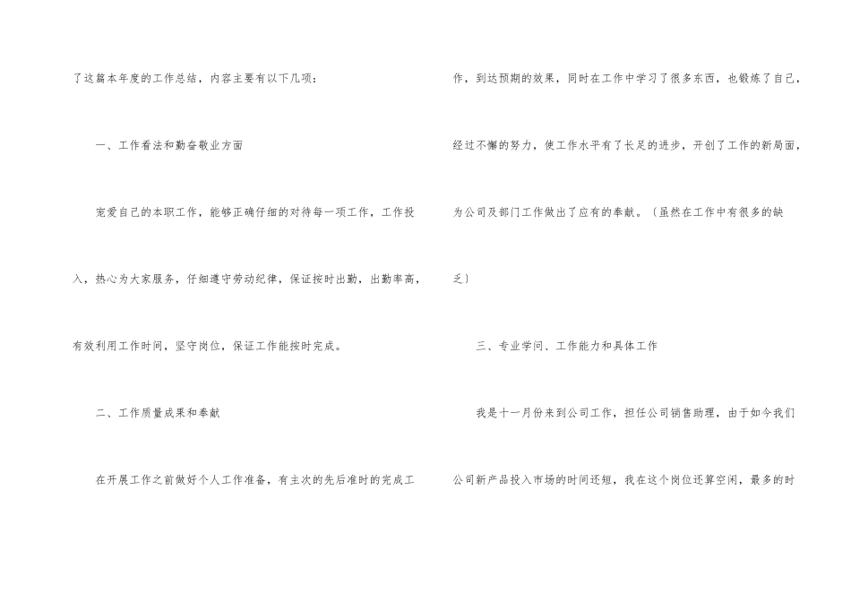 新进员工销售助理年终总结_第2页