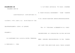 新龟兔赛跑(集锦15篇)