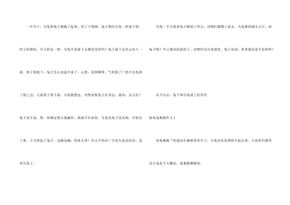 新龟兔赛跑11篇_第2页