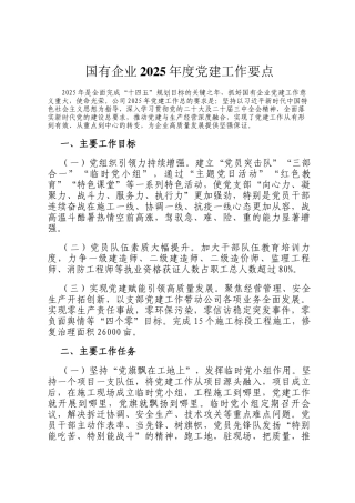 国有企业2025年度党建工作要点