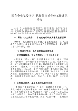 国有企业党委书记_执行董事抓党建工作述职报告
