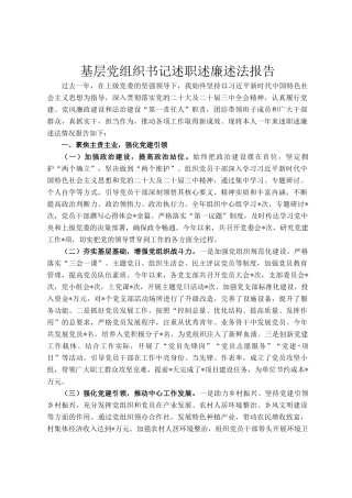 基层党组织书记述职述廉述法报告