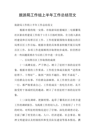 旅游局工作组上半年工作总结范文