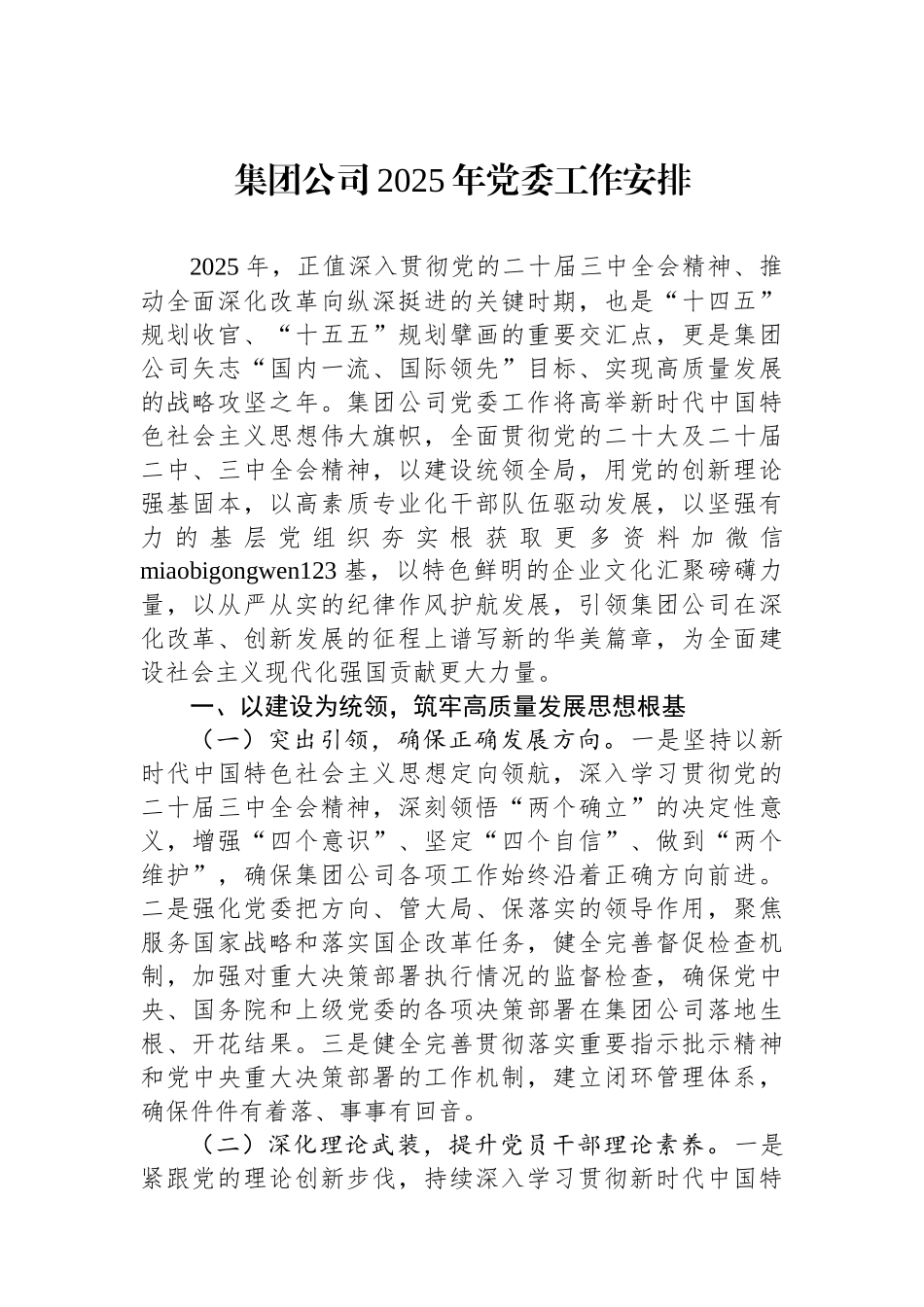 集团公司2025年党委工作安排_第1页