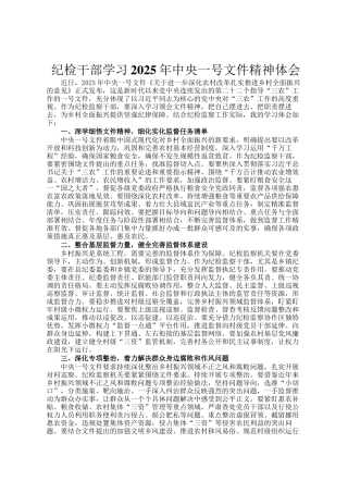 纪检干部学习2025年中央一号文件精神体会