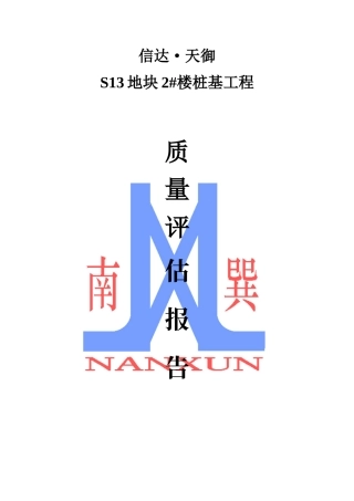 旋挖桩评估报告