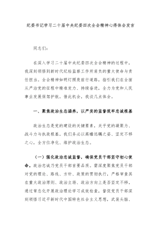 纪委书记学习二十届中央纪委四次全会精神心得体会发言