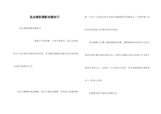 昆虫微距摄影拍摄技巧