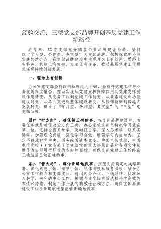 经验交流：三型党支部品牌开创基层党建工作新路径