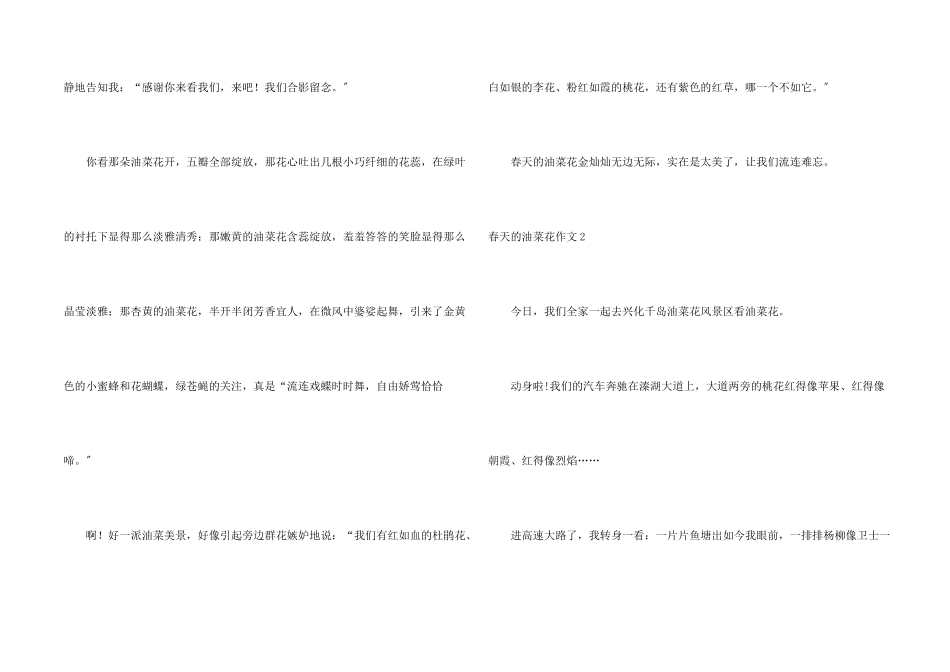 春天的油菜花_第2页