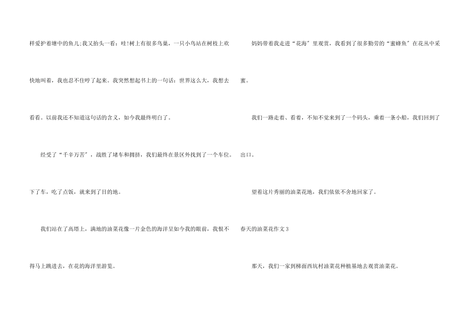 春天的油菜花_第3页