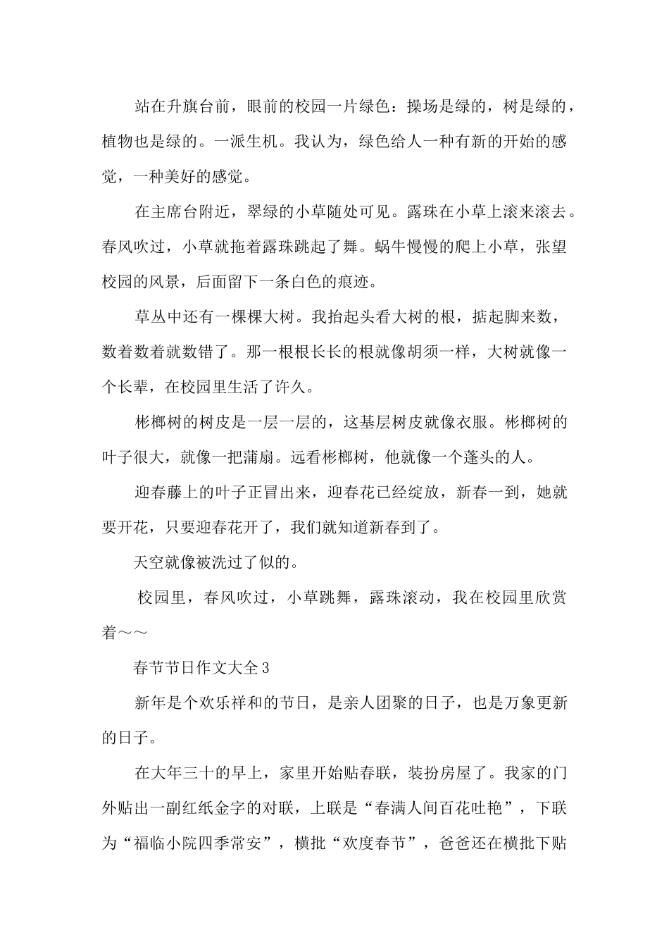 春节节日作文大全5篇_第3页