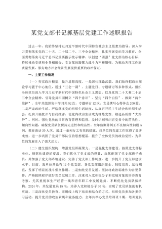 某党支部书记抓基层党建工作述职报告
