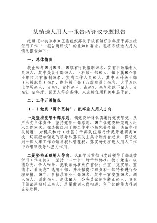某镇选人用人一报告两评议专题报告