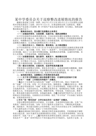 某中学委员会关于巡察整改进展情况的报告