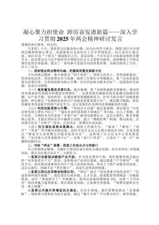 凝心聚力担使命 踔厉奋发谱新篇——深入学习贯彻2025年两会精神研讨发言