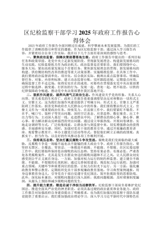 区纪检监察干部学习2025年政府工作报告心得体会
