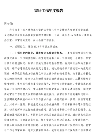 审计工作年度报告