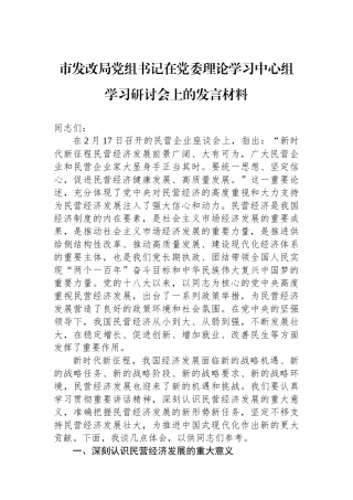 市发改局党组书记在党委理论学习中心组学习研讨会上的发言材料