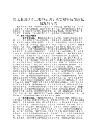 市工业园区党工委书记关于落实巡察反馈意见情况的报告