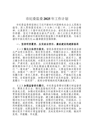 市纪委监委2025年工作计划