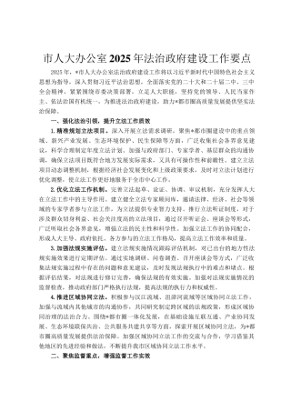 市人大办公室2025年法治政府建设工作要点