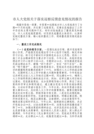 市人大党组关于落实巡察反馈意见情况的报告
