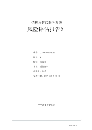 08销售与售后系统风险评估报告报告