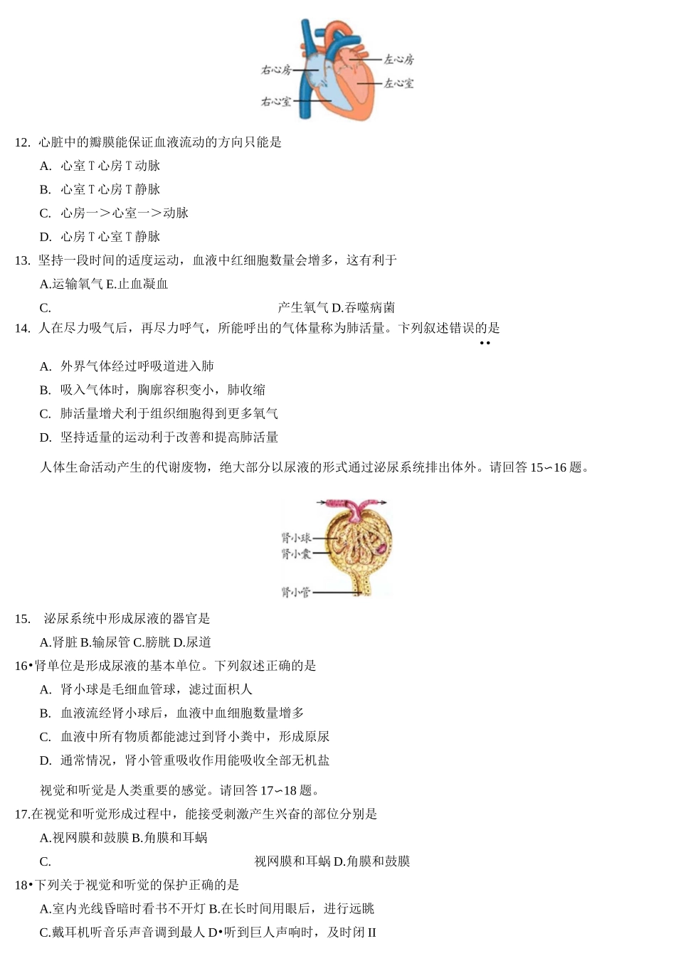 北京市丰台区2021年中考生物模拟试题_第3页