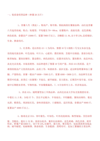 红薯品种介绍