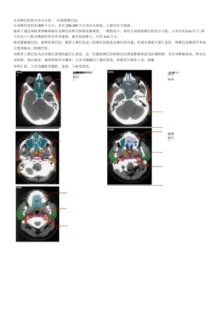 淋巴结(头颈胸分区整理)图示