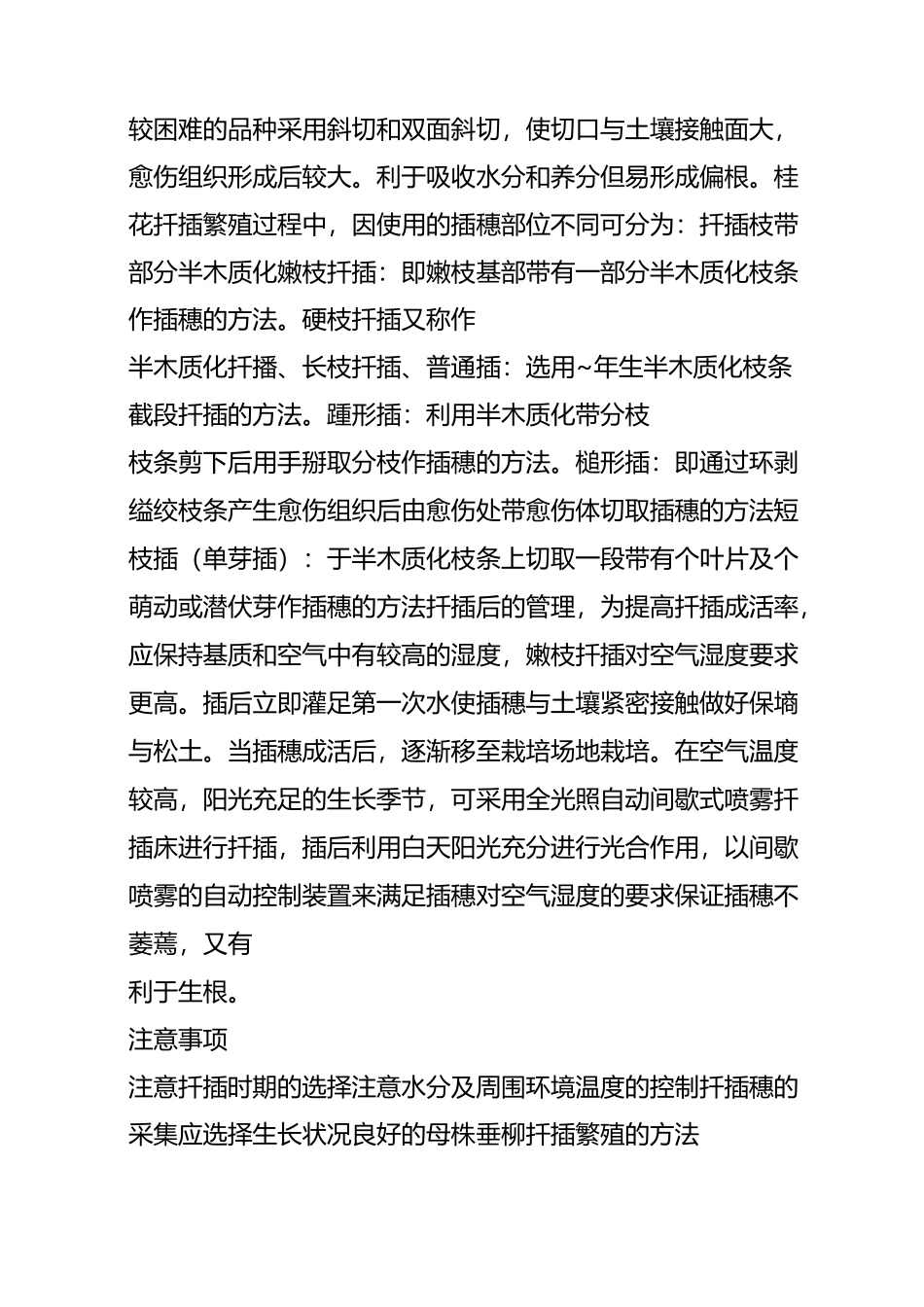 扦插育苗的关键技术_第3页