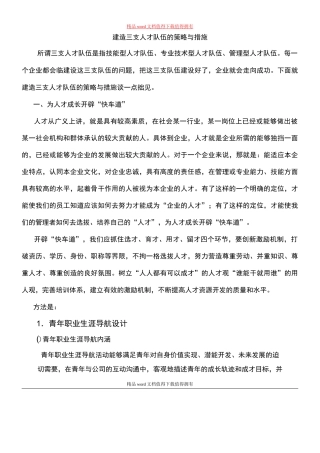 建造三支人才队伍的策略与措施