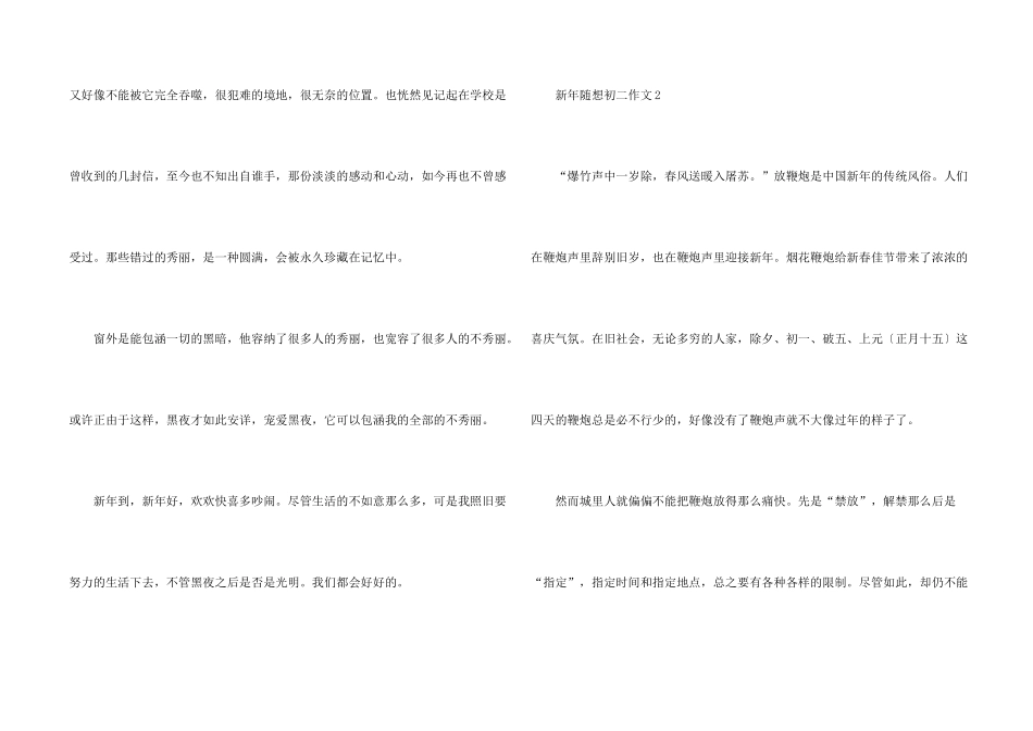 新年随想初二_第2页
