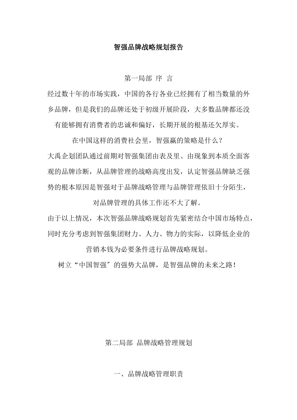 智强品牌战略规划报告_第1页