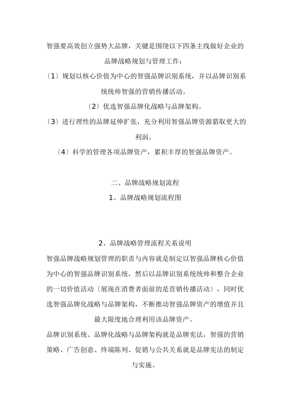 智强品牌战略规划报告_第3页