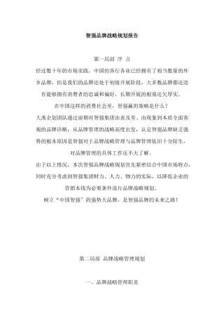 智强品牌战略规划报告