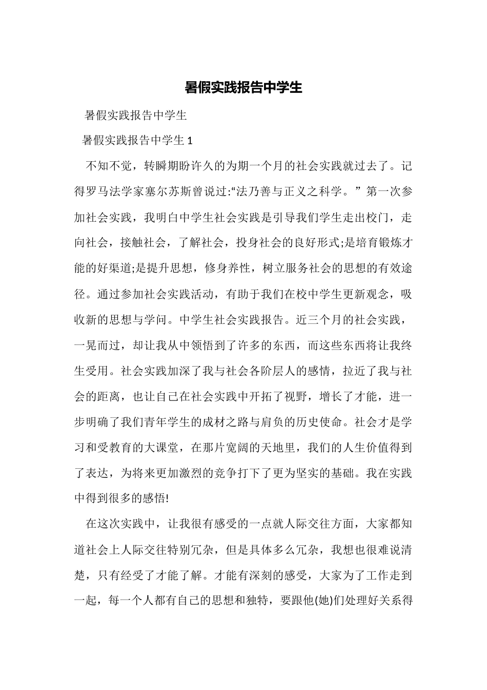 暑假实践报告中学生_第1页