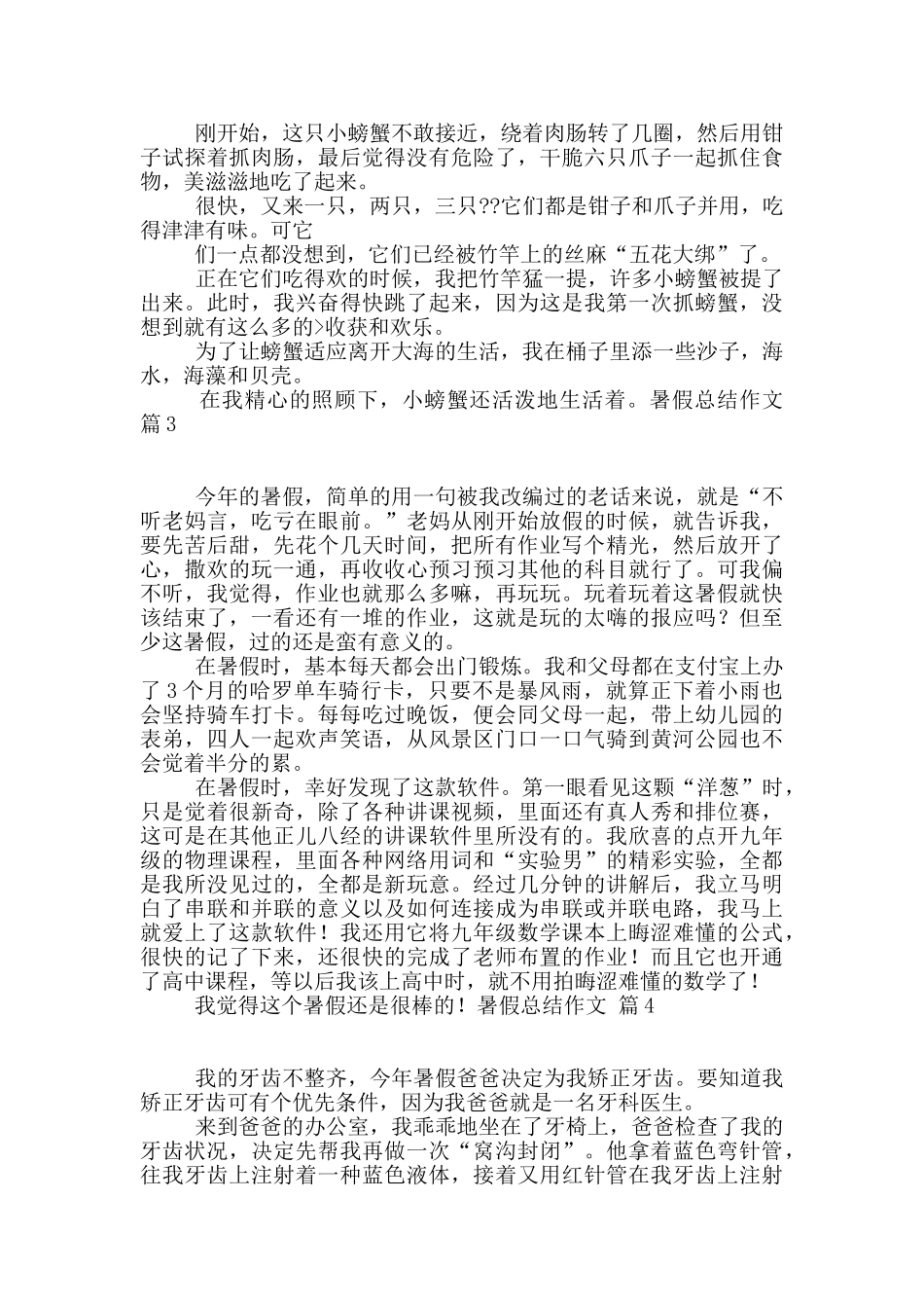 暑假总结作文四篇_第2页